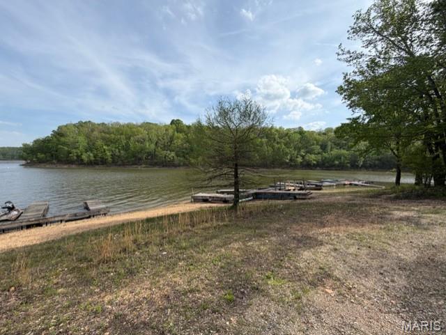 179 Craft Sub Road Greenville, MO 63944 - Photo 16 of 20