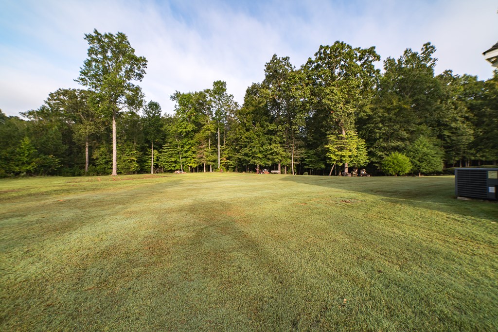224 Voorhees Road Hamilton, GA 31811 - Photo 2 of 55 Gallery Image 2
