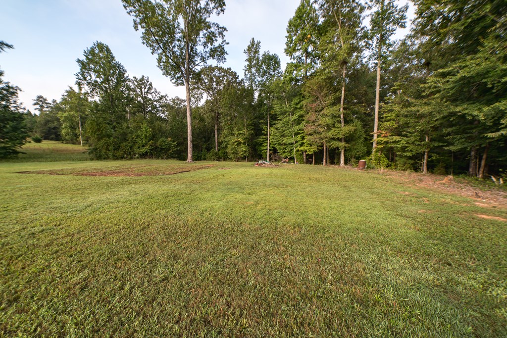 224 Voorhees Road Hamilton, GA 31811 - Photo 4 of 55 Gallery Image 4