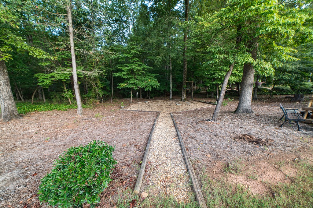 224 Voorhees Road Hamilton, GA 31811 - Photo 6 of 55 Gallery Image 6