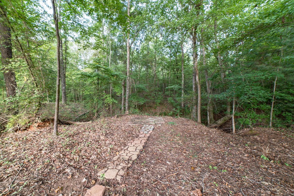 224 Voorhees Road Hamilton, GA 31811 - Photo 7 of 55 Gallery Image 7