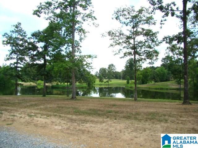 127 Poes Bend Road Ohatchee, AL 36271 - Photo 10 of 31