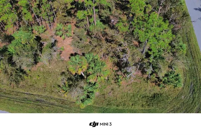 a open area with trees in the background