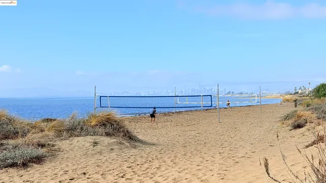 a view of a ocean beach