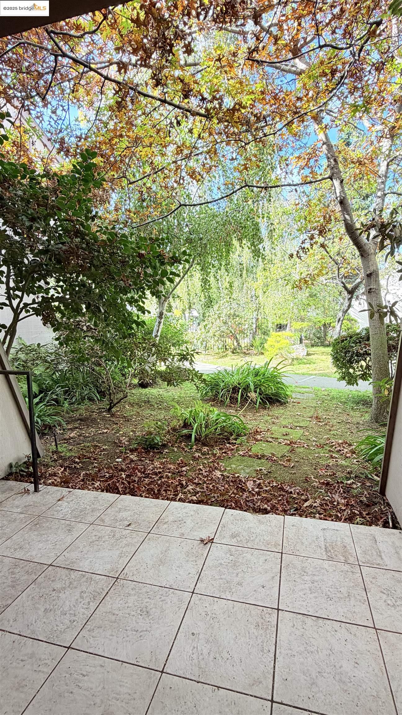 2101 Shore Line Drive, Unit 265 Alameda, CA 94501 - Photo 31 of 34 a view of backyard with green space