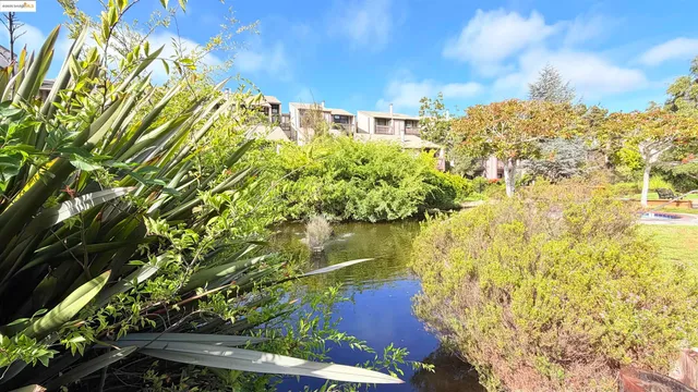 a backyard of a house with a yard and lake view