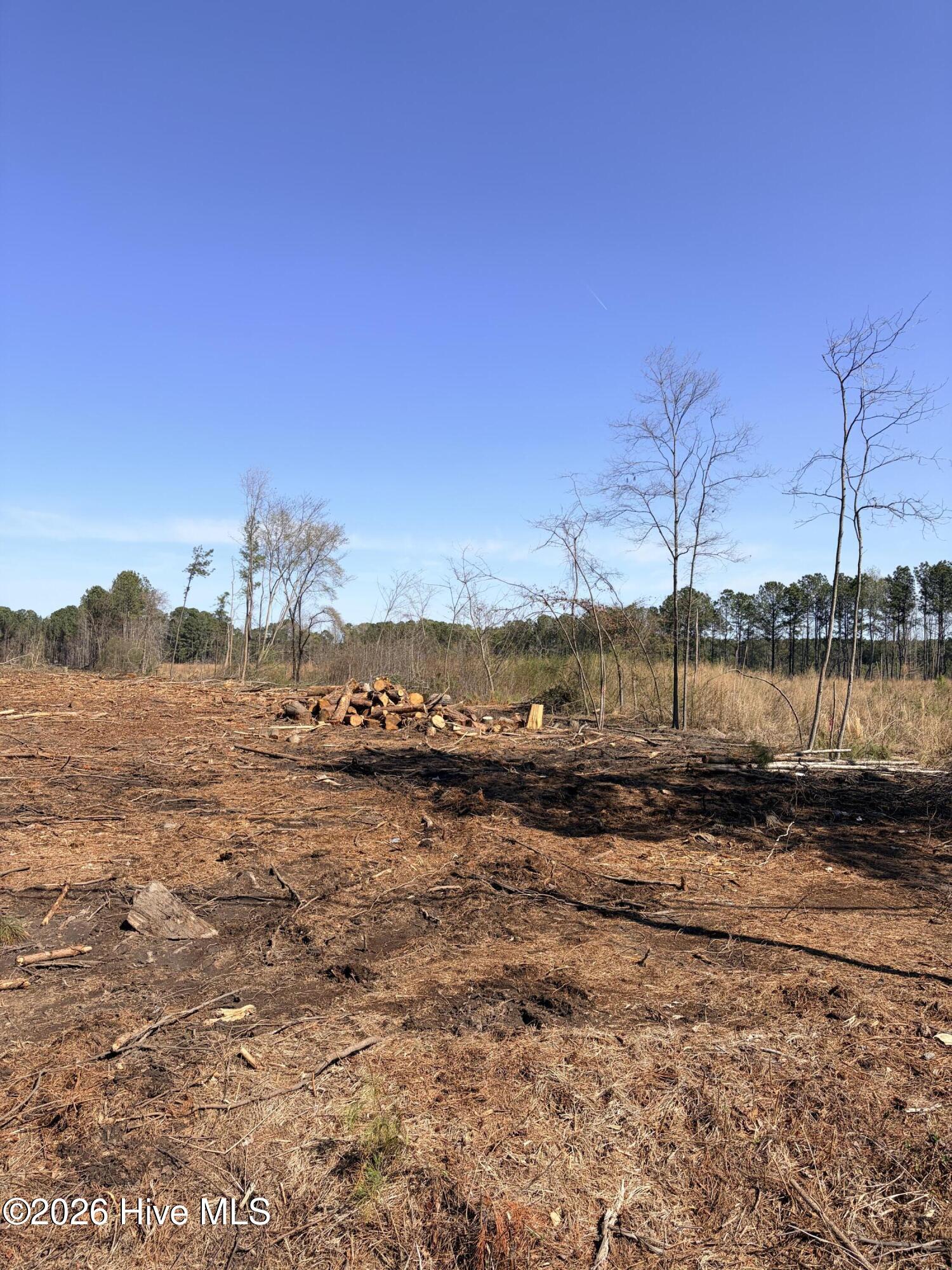Tbd Cokey Road Rocky Mount, NC 27801 - Photo 2 of 4 CokeyRdClearedland2