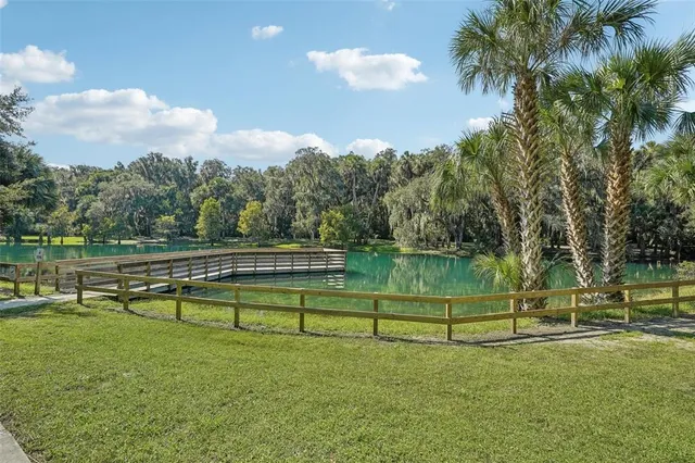 a view of a park with large trees