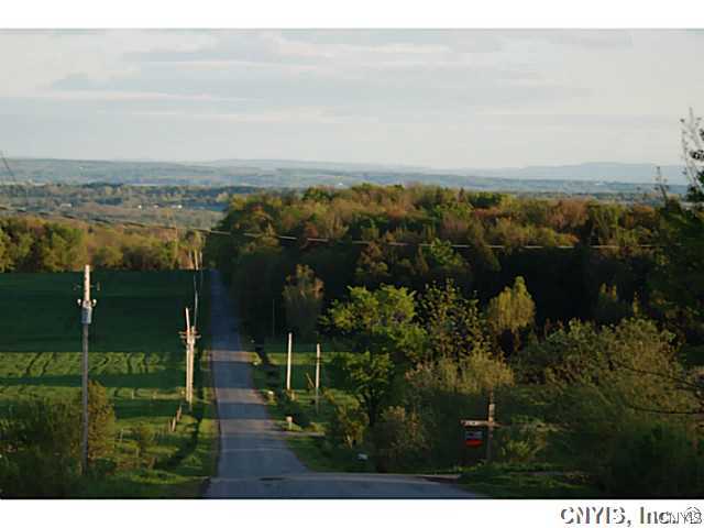 0 North Sixty Road South Remsen, NY 13438 - Photo 1 of 1 Exterior Front Roadside view of the Mohawk Valley
