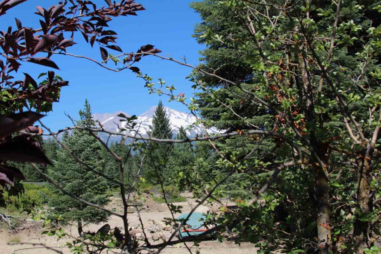 Lot 5 Davis Place Road Mount Shasta, CA 96067 - Photo 6 of 11 Gallery Image 6