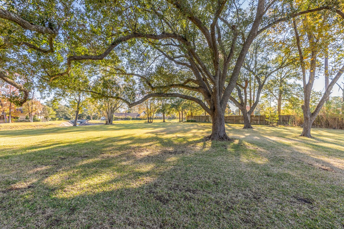 1210 Nottingham Lane Beaumont, TX 77706 - Photo 46 of 50 a view of yard with trees