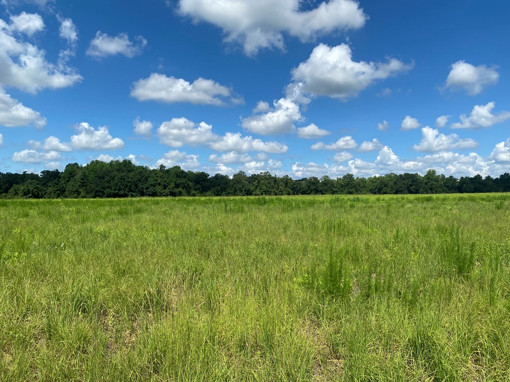 16-ac 16-ac National Road Dothan, AL 36301 - Photo 31 of 45