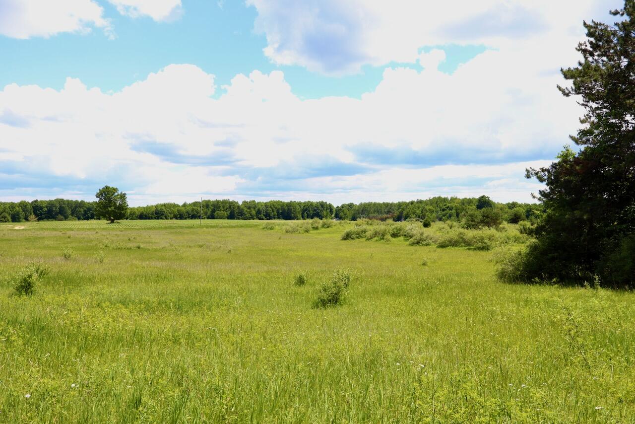6182 Hamilton Road Harrison, MI 48625 - Photo 49 of 77