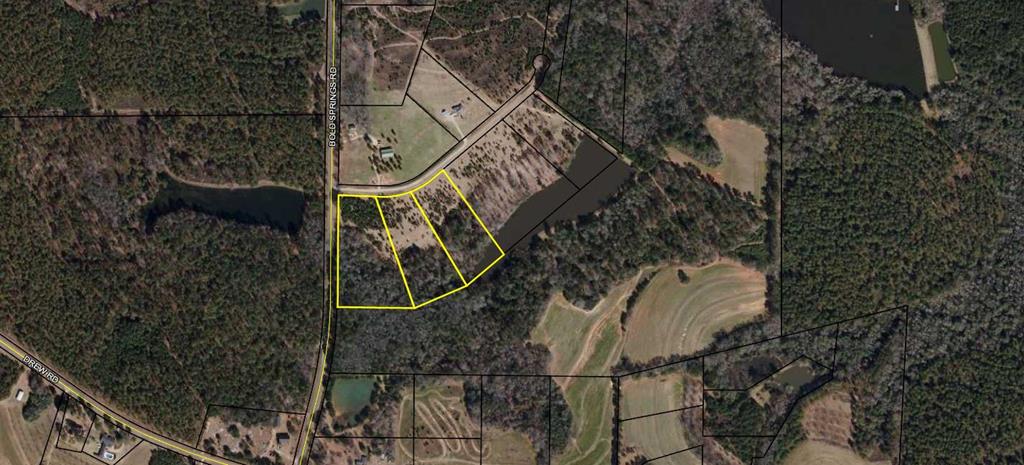1532-14 Bold Springs Road Ochlocknee, GA 31773 - Photo 1 of 1 Main View