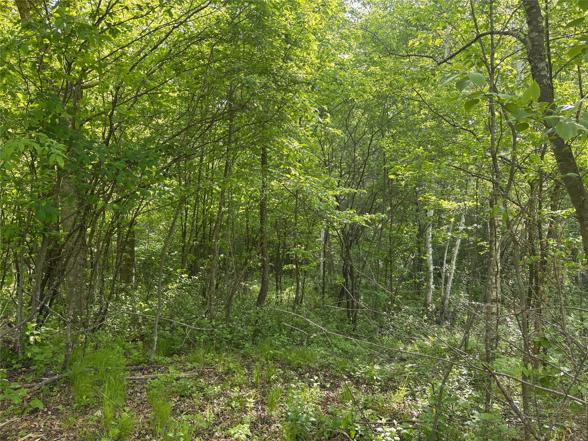 0 23 23 1/2 Street Rice Lake, WI 54868 - Photo 11 of 13