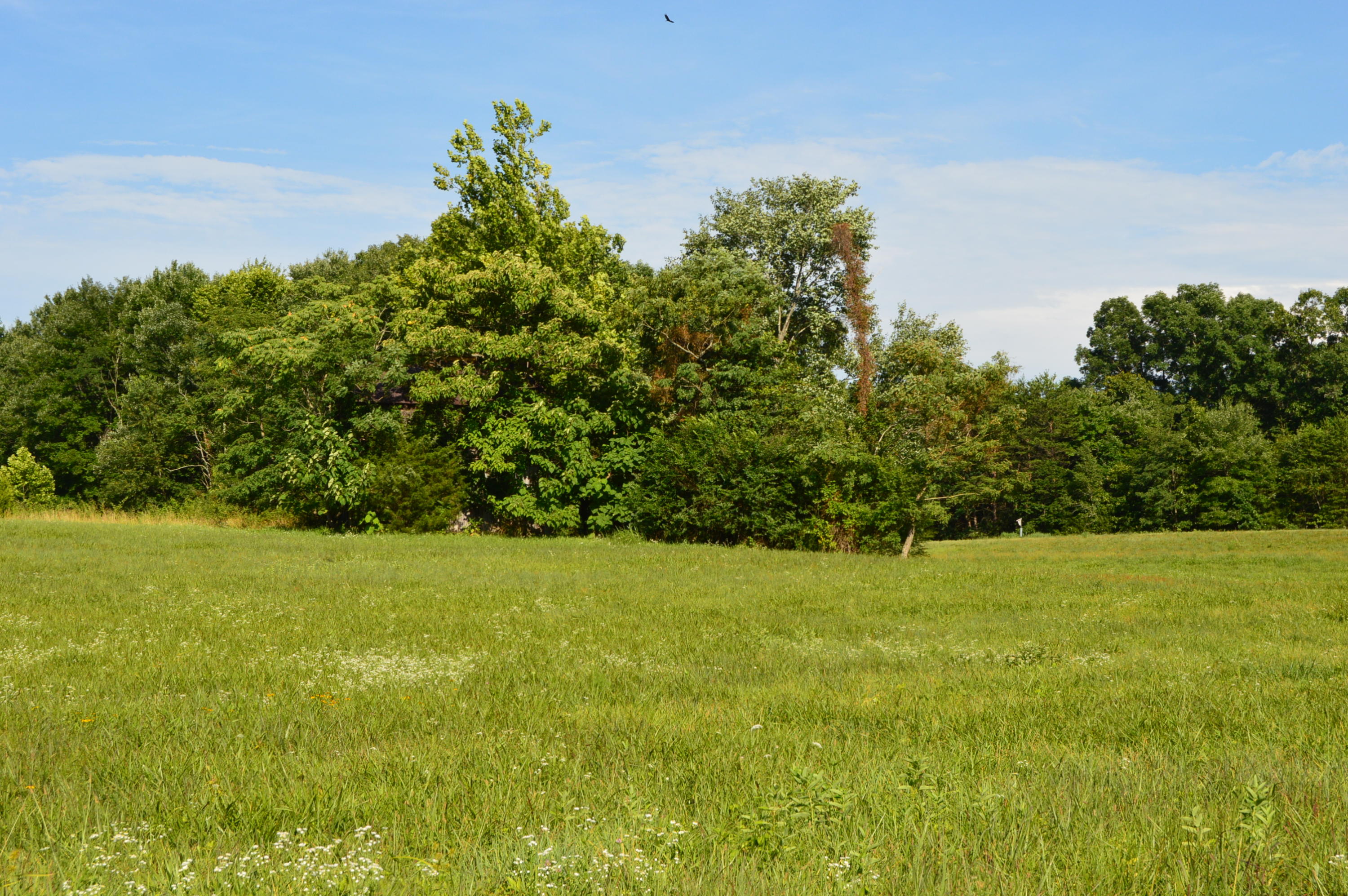 468 Liberty Road Penhook, VA 24137 - Photo 47 of 54 Field