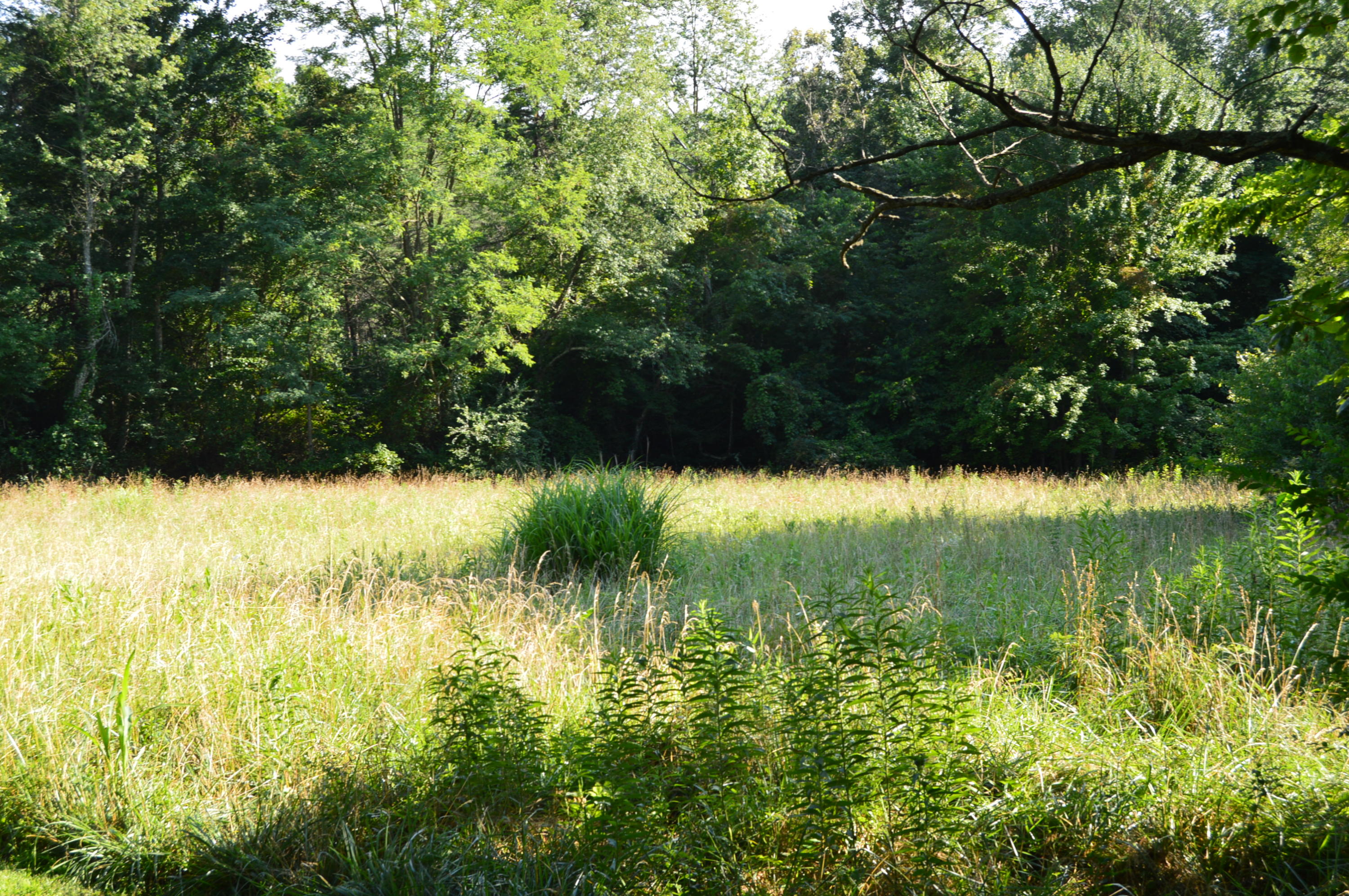 468 Liberty Road Penhook, VA 24137 - Photo 48 of 54 a view of a lake view