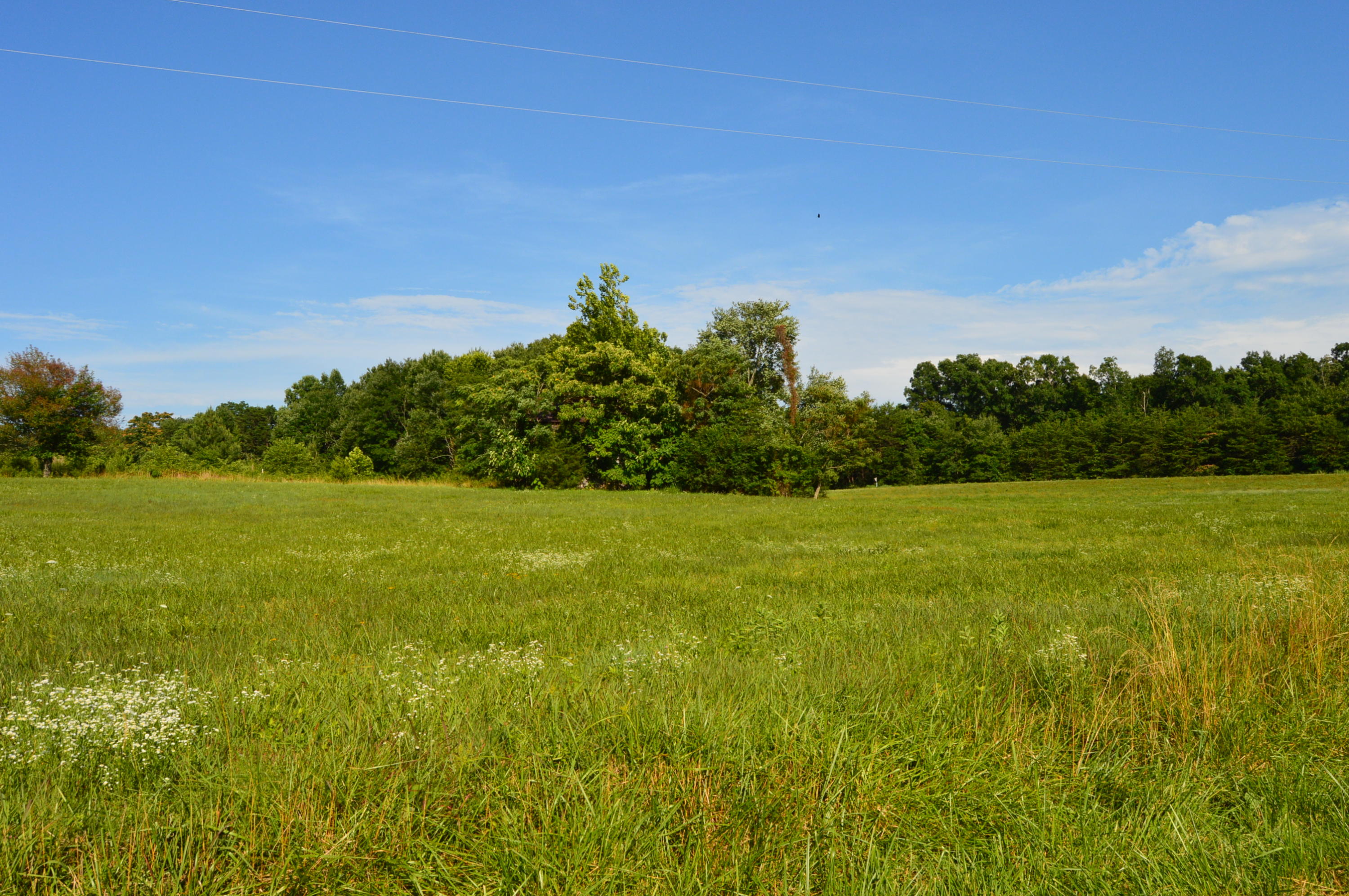 468 Liberty Road Penhook, VA 24137 - Photo 49 of 54 a view of a yard with a house in the background
