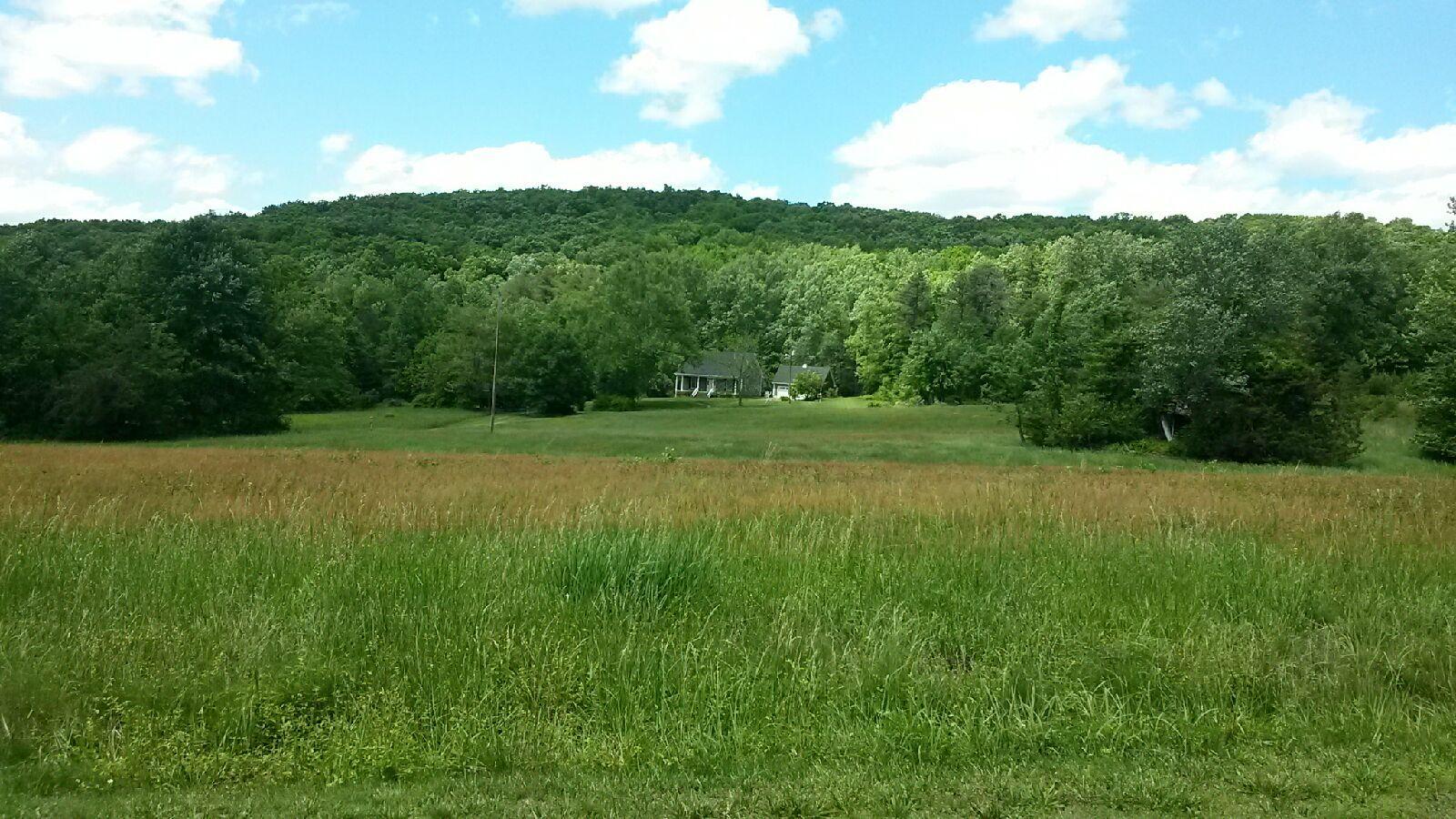 468 Liberty Road Penhook, VA 24137 - Photo 9 of 54 a view of a lush green space with sea