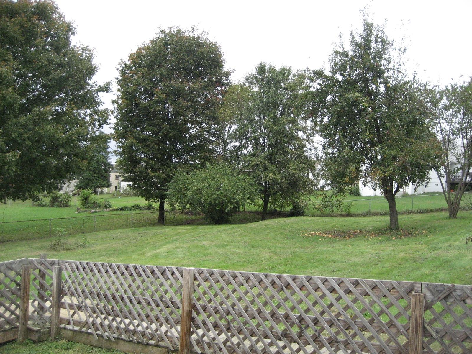 2213 Sanderson Road Knoxville, TN 37921 - Photo 5 of 6 IMG_2826