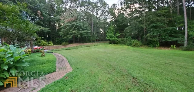 a view of a garden with a tree