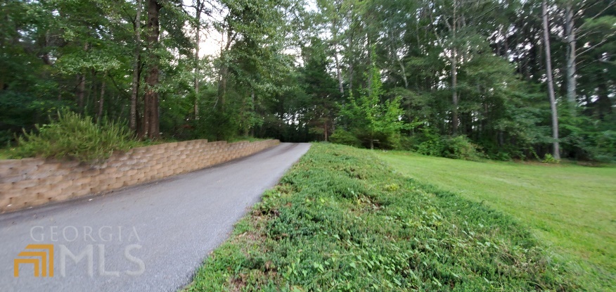 672 Andrew Bailey Road Sharpsburg, GA 30277 - Photo 32 of 34 a view of a yard with plants and a trees