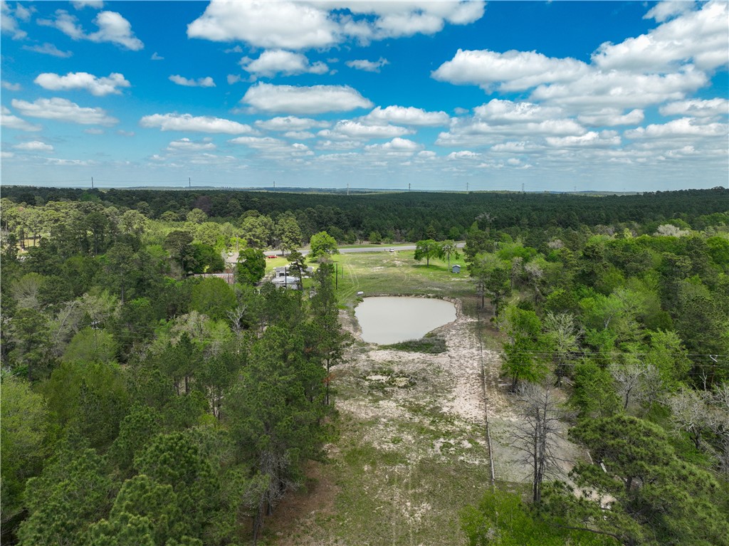 12082 State Highway 30 Anderson, TX 77830 - Photo 5 of 18