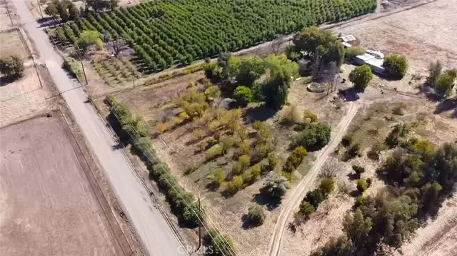 a view of a yard with plants