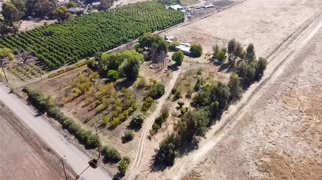 a view of a yard with plants