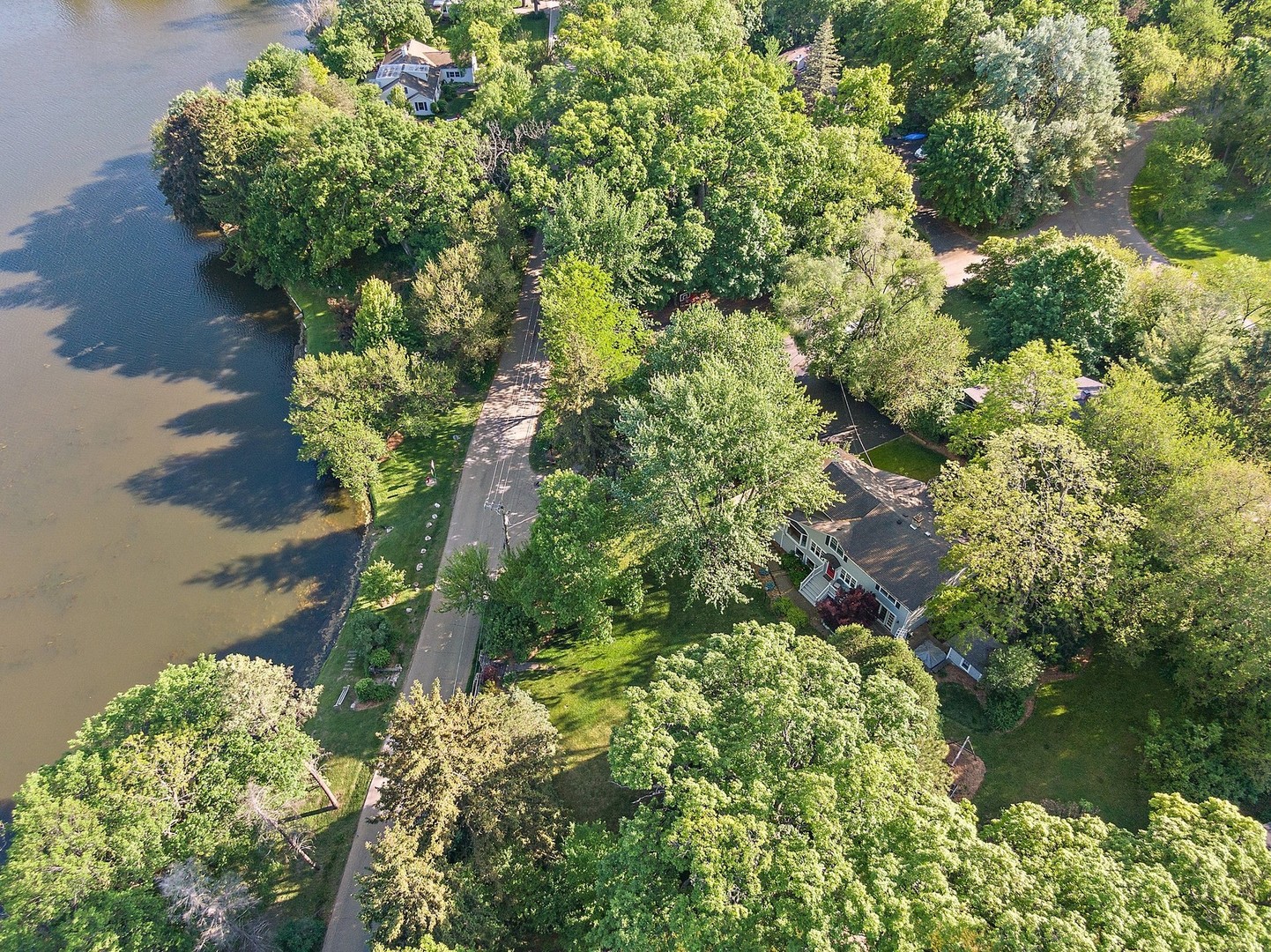 804 Murray Road Tower Lakes, IL 60010 - Photo 38 of 44 a picture of flowers