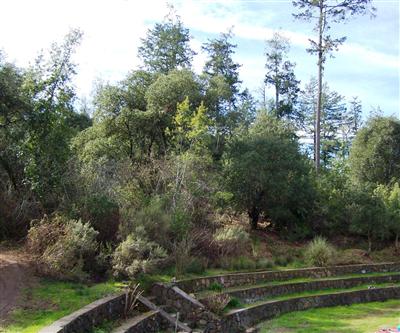 4585 Harrison Grade Road Sebastopol, CA 95472 - Photo 3 of 6 a view of a park