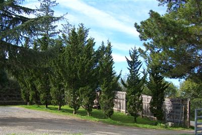 4585 Harrison Grade Road Sebastopol, CA 95472 - Photo 6 of 6