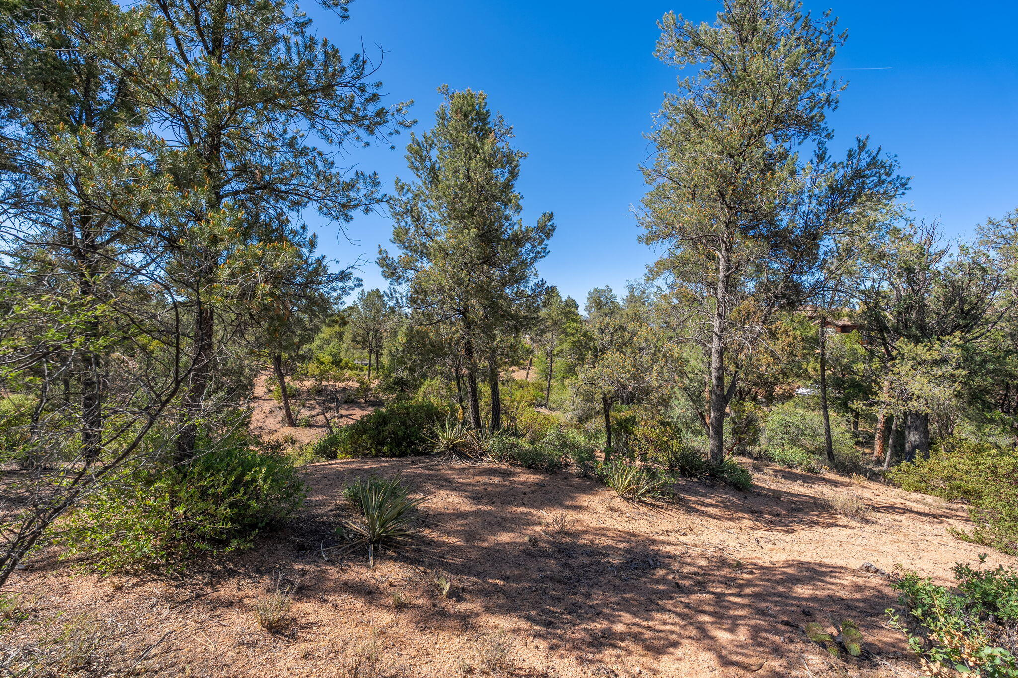 506 South Primeval Payson, AZ 85541 - Photo 32 of 48
