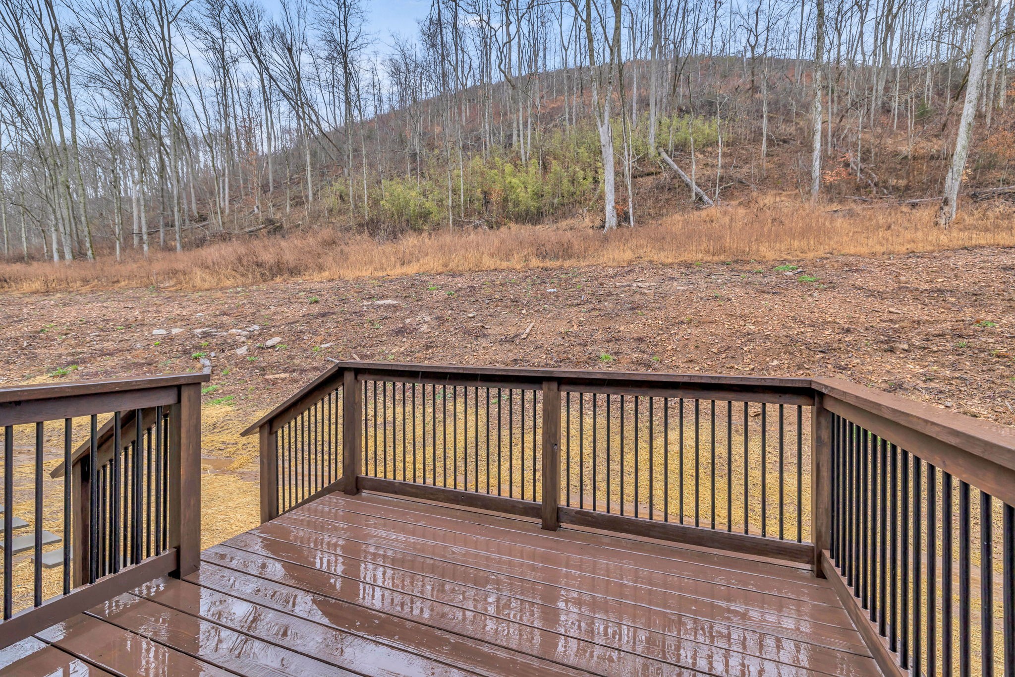 500 Difficult Road Pleasant Shade, TN 37145 - Photo 32 of 40 a terrace view