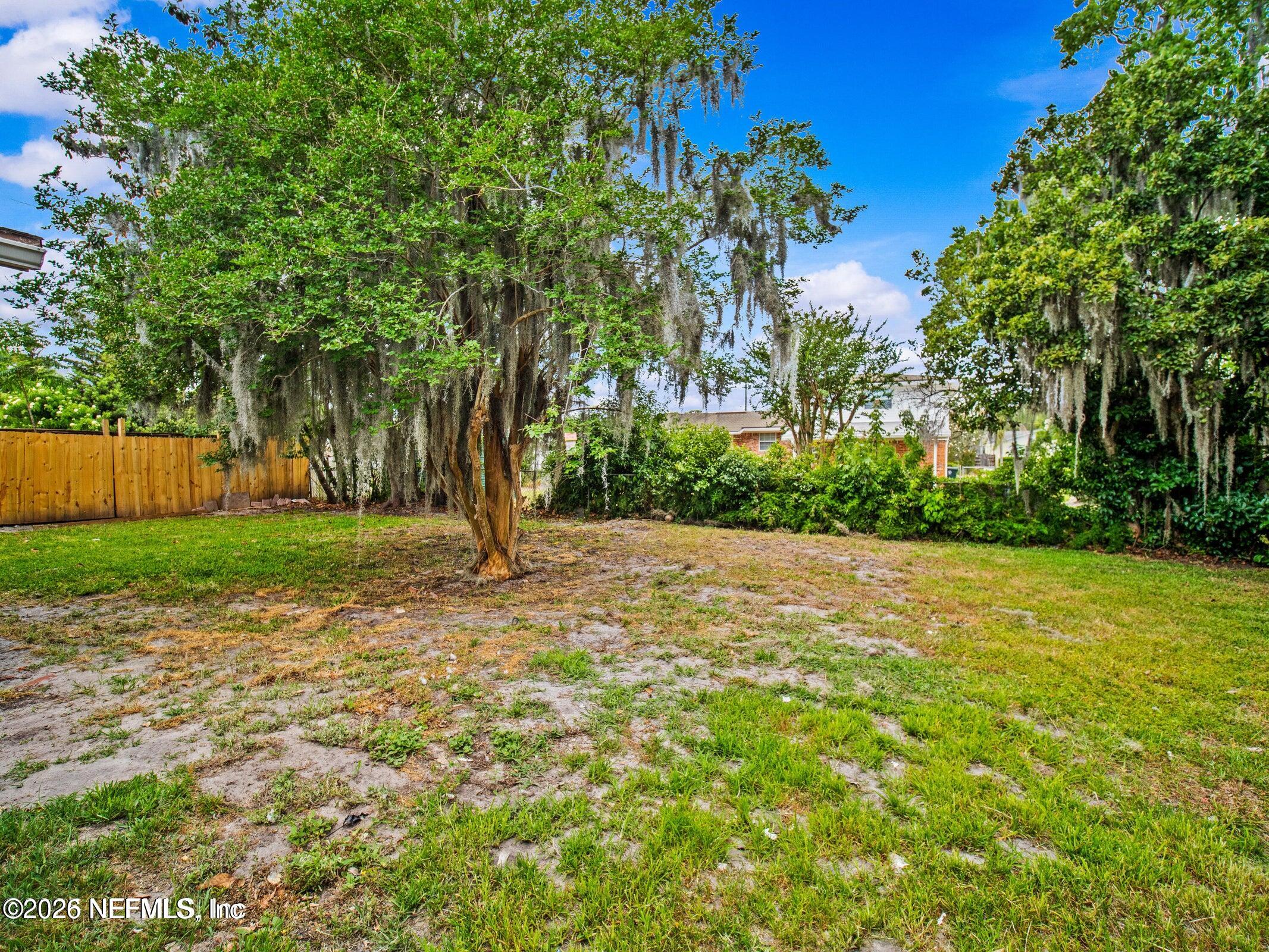 856 Palermo Road Jacksonville, FL 32216 - Photo 15 of 17 a view of a yard with plants and trees