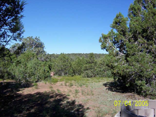 5288 Alserita Road, Unit 2 Show Low, AZ 85901 - Photo 3 of 3 Additional Photo