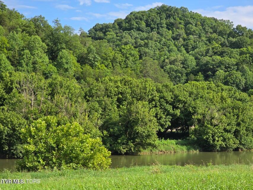 7-8 Caney Valley Road Sneedville, TN 37869 - Photo 15 of 30 15