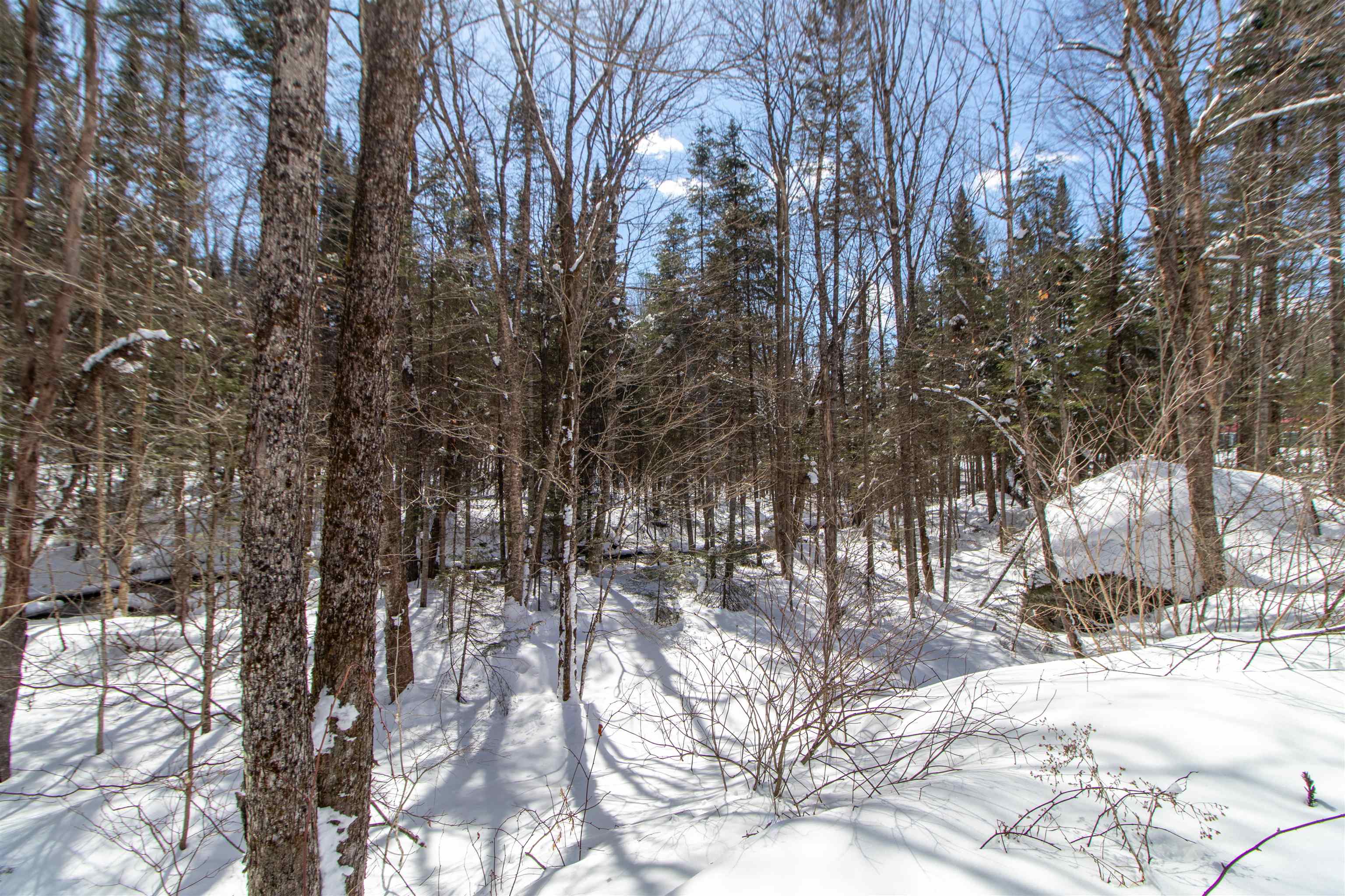 1500 Brook Road Burke, VT 05871 - Photo 44 of 56