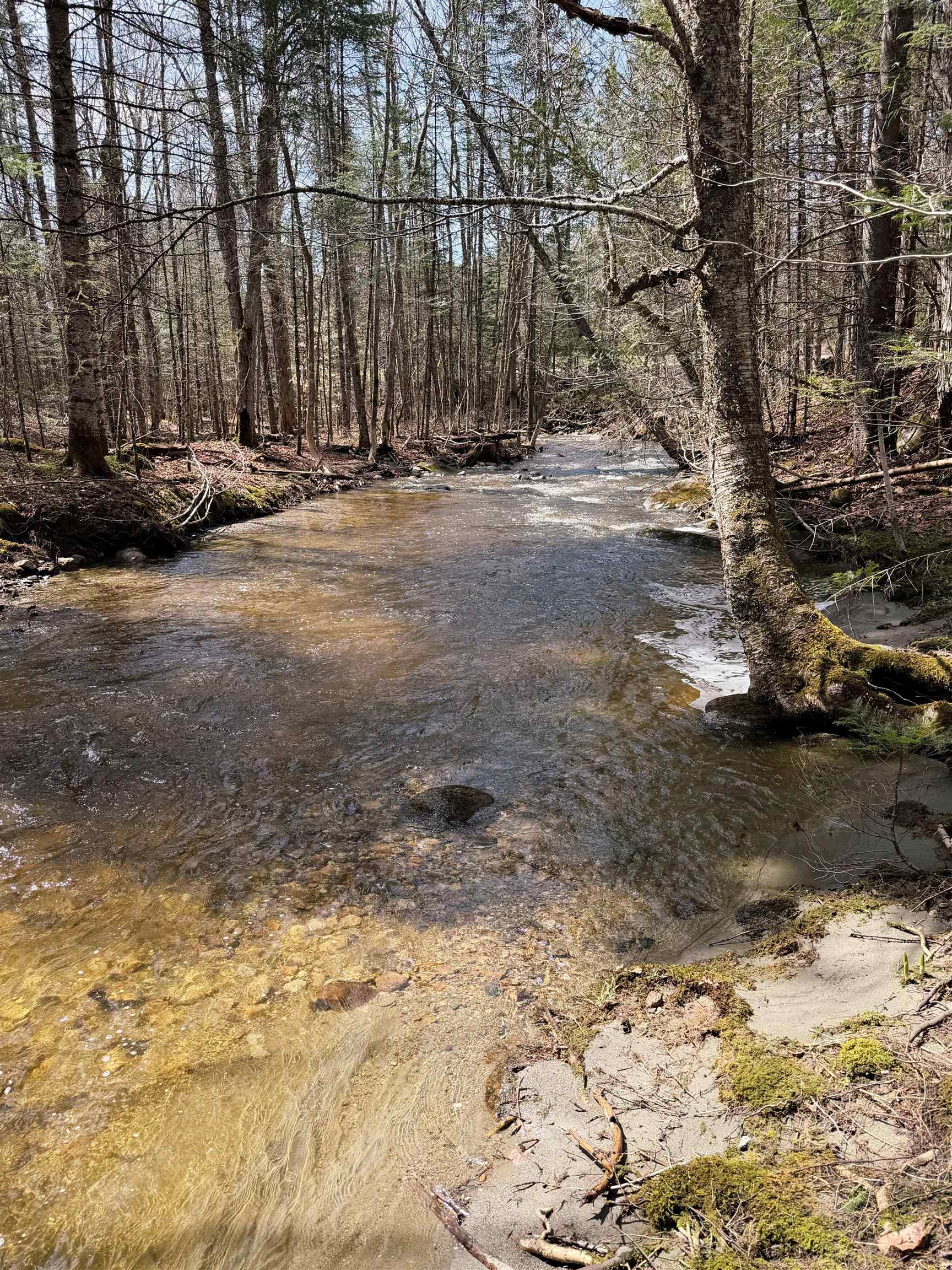 1500 Brook Road Burke, VT 05871 - Photo 45 of 60