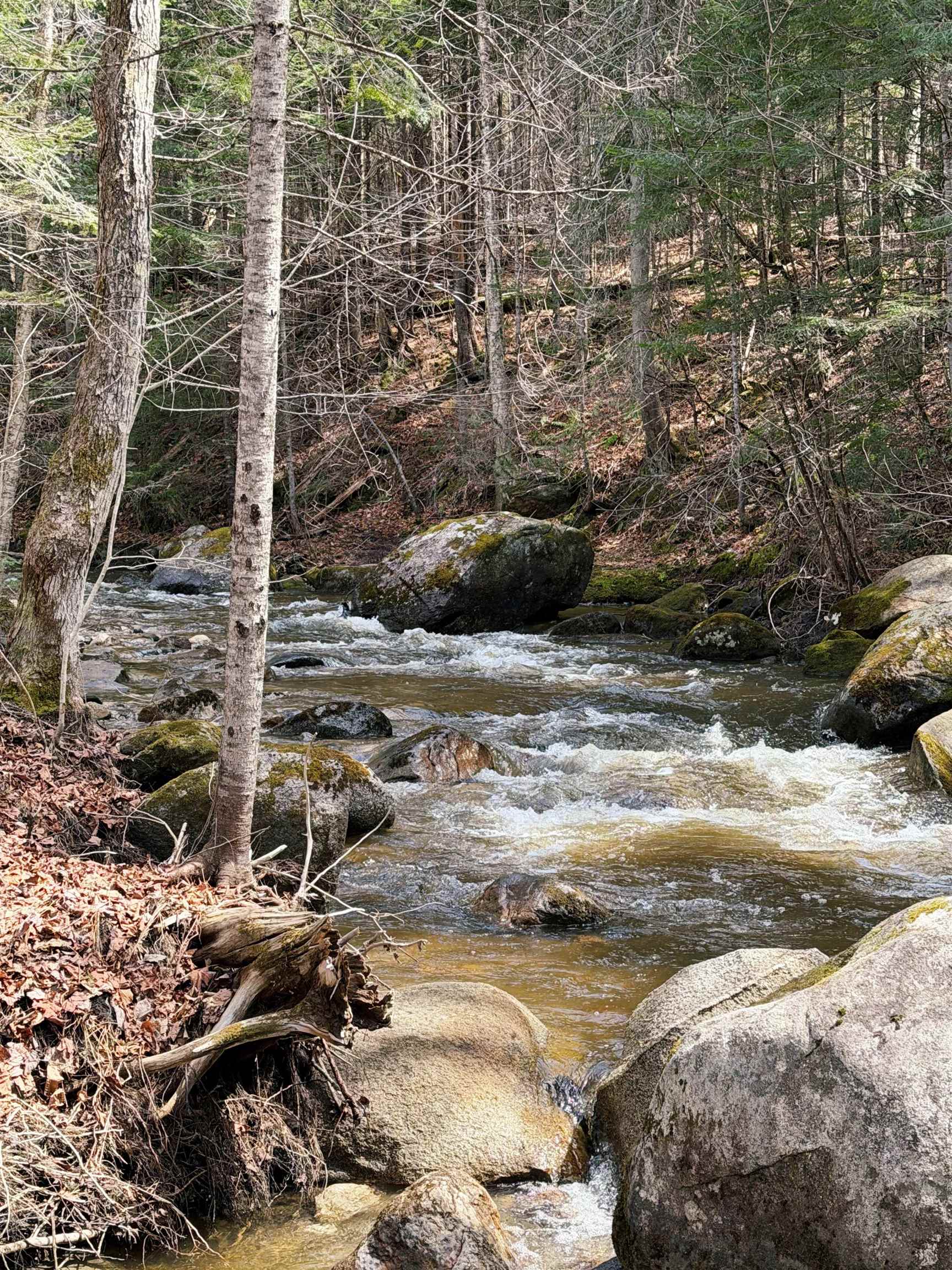 1500 Brook Road Burke, VT 05871 - Photo 46 of 60