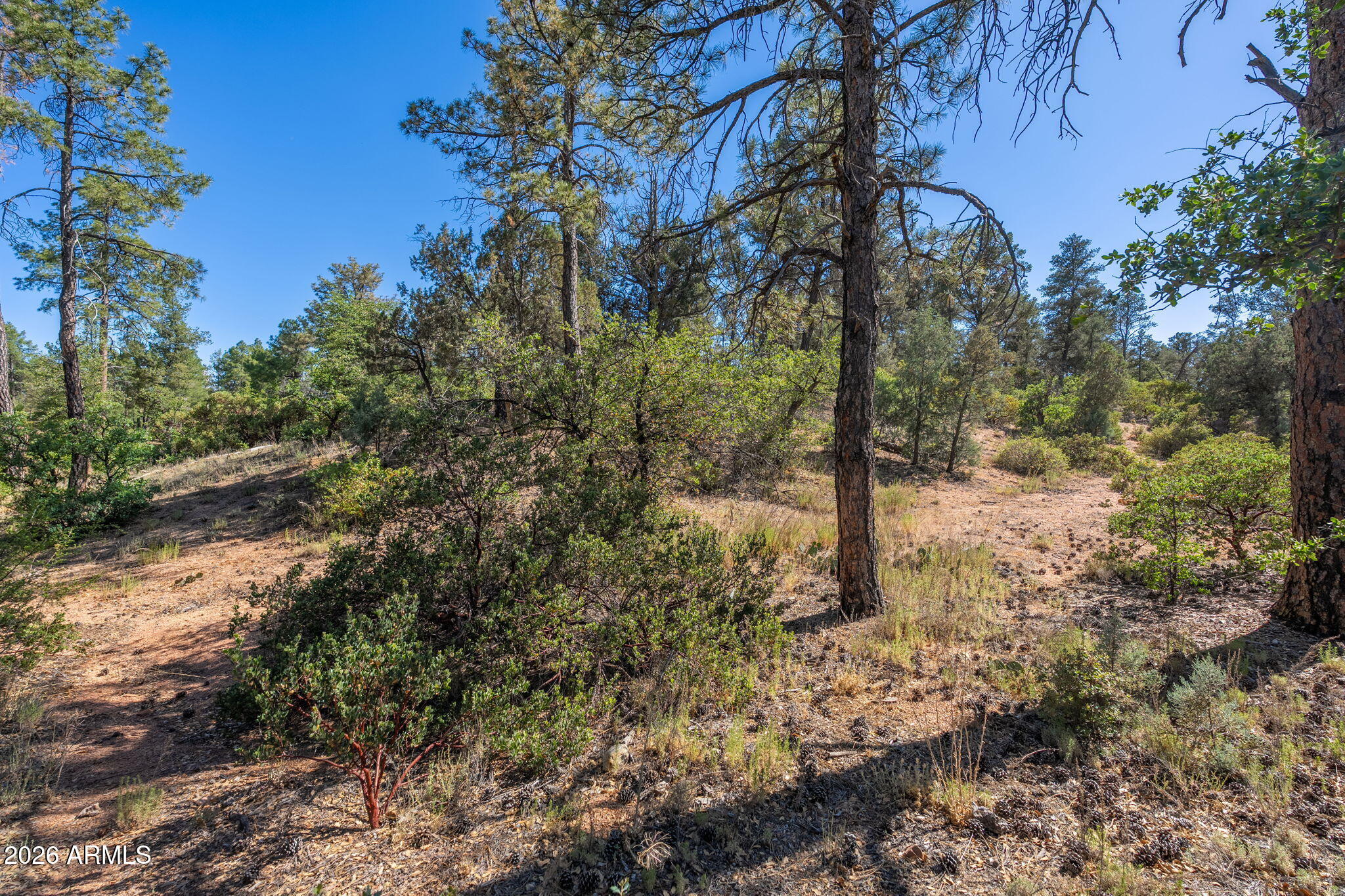 506 South Primeval, Unit 79 Payson, AZ 85541 - Photo 27 of 48 506 S Primeval - 25