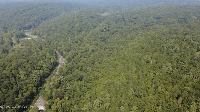a view of a field with trees in the background