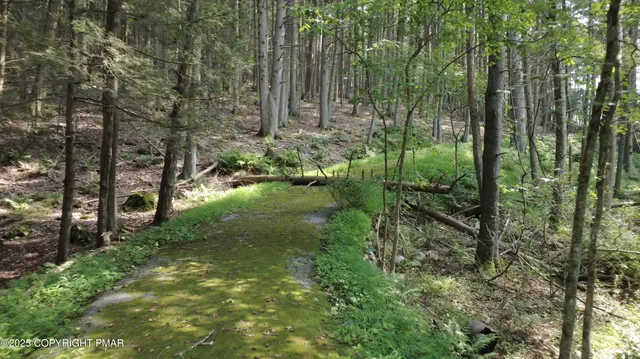 a view of outdoor space and garden