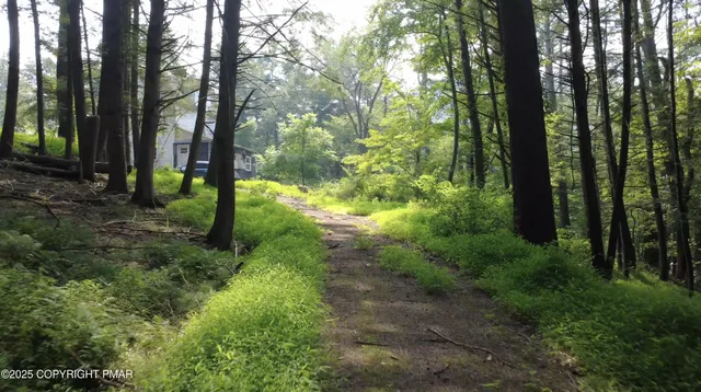 a view of a dry yard with green space