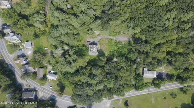 a view of a forest with a houses