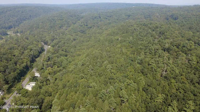 a view of a forest with a houses