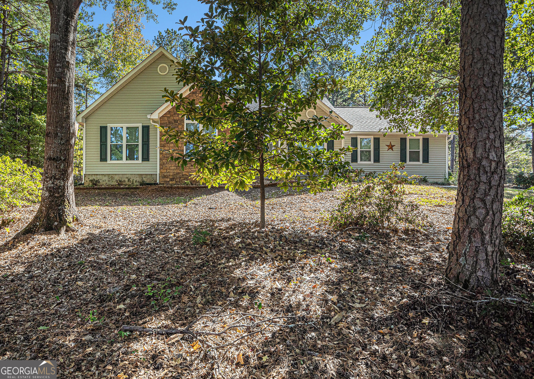 139 Pete Road Sharpsburg, GA 30277 - Photo 3 of 37