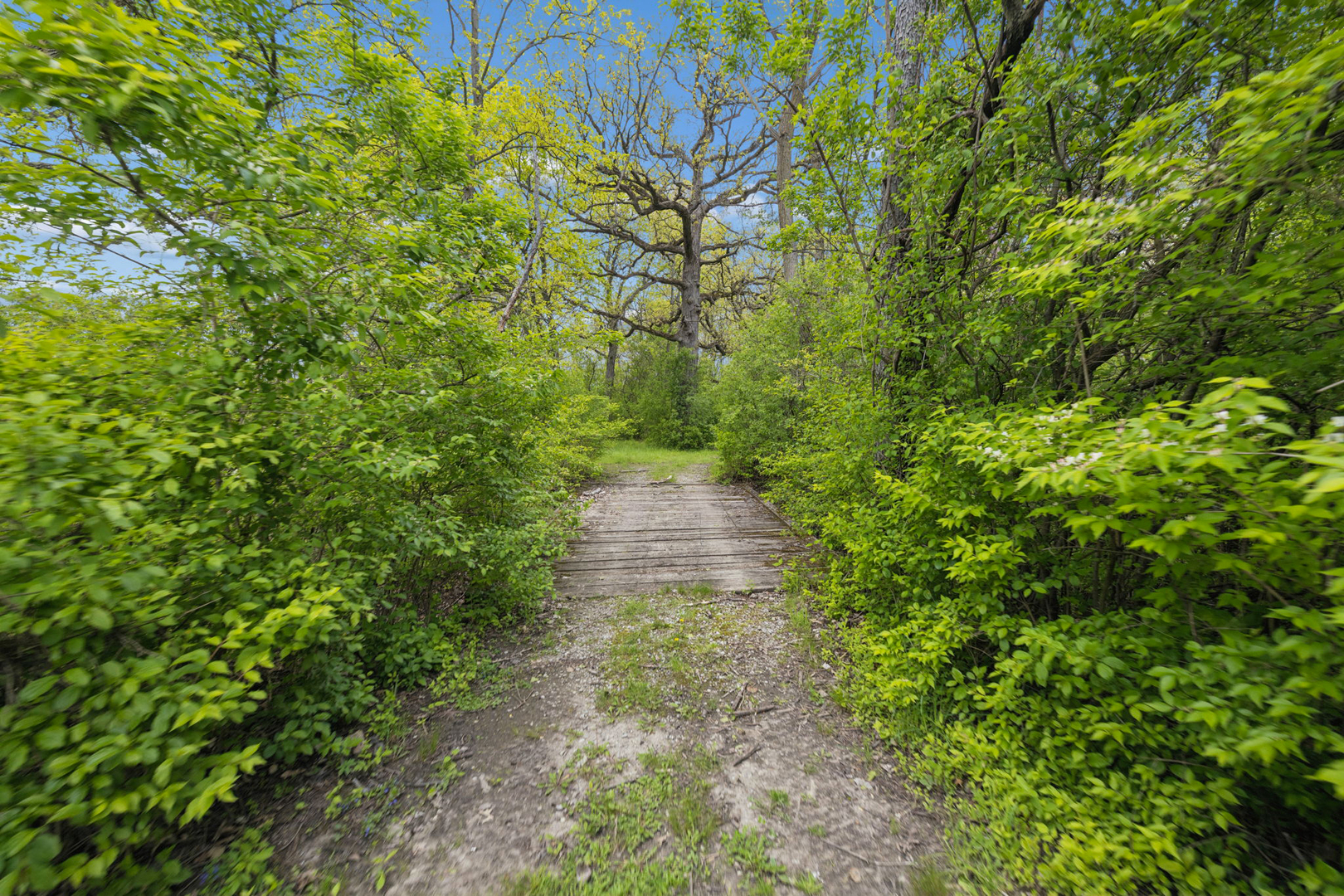 931 East Steger Road Steger, IL 60475 - Photo 8 of 53