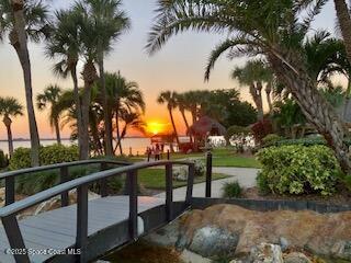 773 Carousel Lane Melbourne Beach, FL 32951 - Photo 16 of 19 a view of a swimming pool with a garden and trees