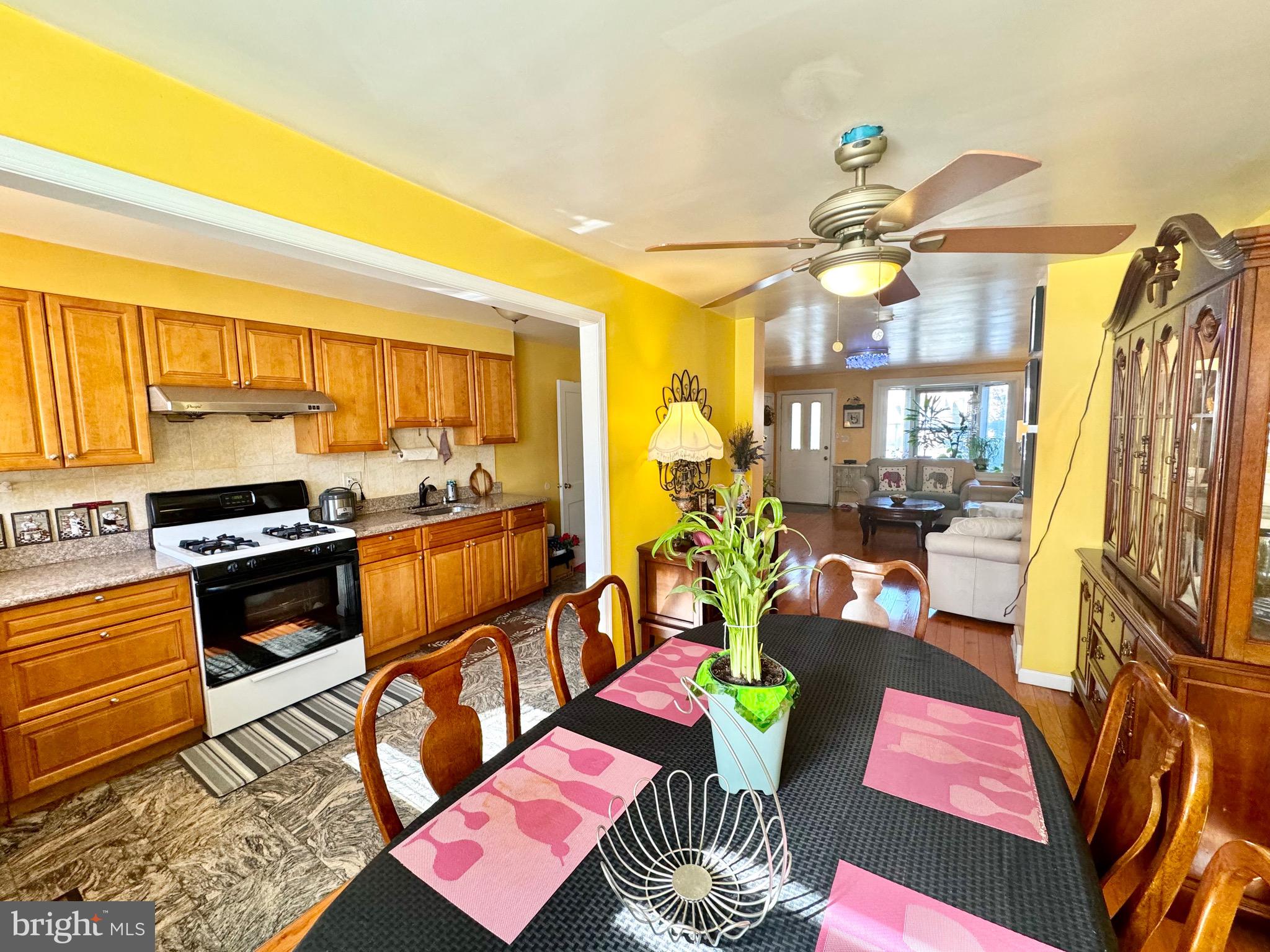 7243 Large Street Philadelphia, PA 19149 - Photo 16 of 53